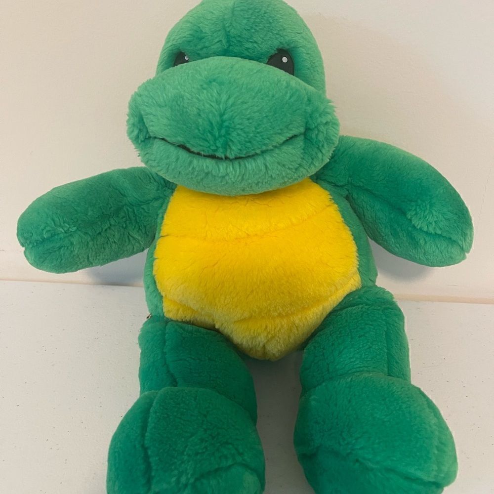 Build A Bear Turtle - Picture 1 of 6